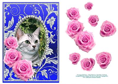 Pink Roses - Tabby Kitty Cat - Silver Blue Card Front