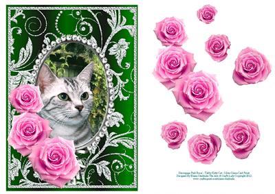 Pink Roses - Tabby Kitty Cat - Silver Green Card Front