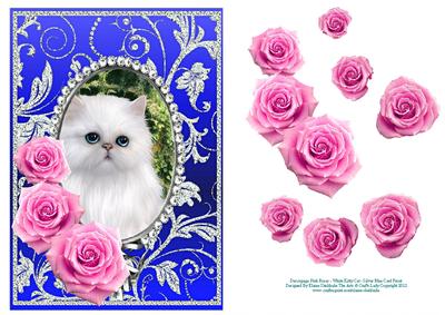 Pink Roses - White Kitty Cat - Silver Blue Card Front
