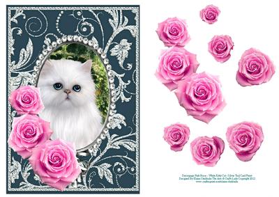 Pink Roses - White Kitty Cat - Silver Teal Card Front