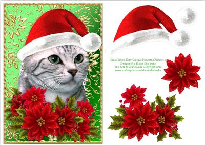 Santa Tabby Kitty Cat and Poinsettia Flowers 1