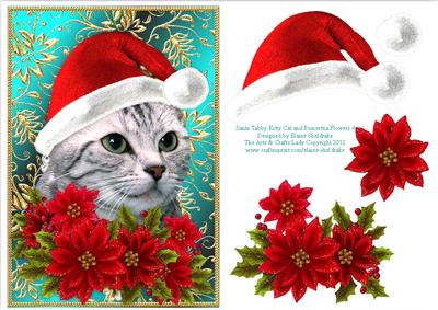 Santa Tabby Kitty Cat and Poinsettia Flowers 4