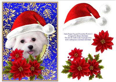 Santa White Puppy Dog Bichon Frise and Poinsettia Flowers 2