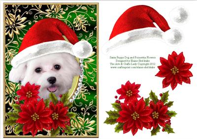 Santa White Puppy Dog Bichon Frise and Poinsettia Flowers 4