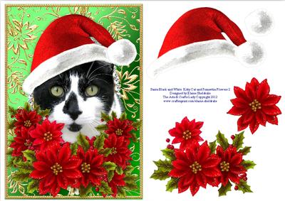 Santa Black and White Kitty Cat and Poinsettia Flowers 2