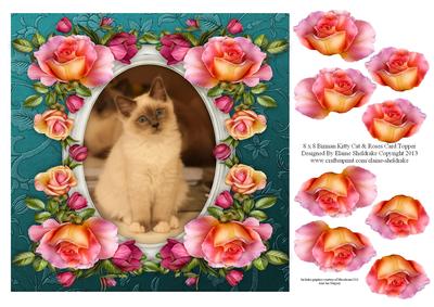 8 x 8 Birman Kitty Cat & Roses Decoupage Card Topper