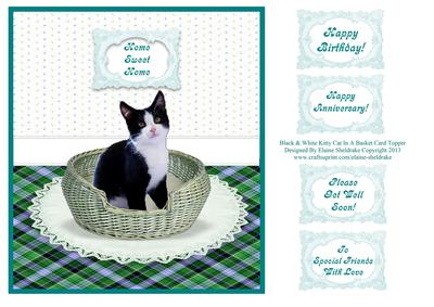Black & White Kitty Cat in a Basket Card Topper + Greeting