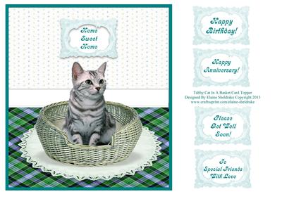 Tabby Kitty Cat in a Basket Card Topper + Greetings