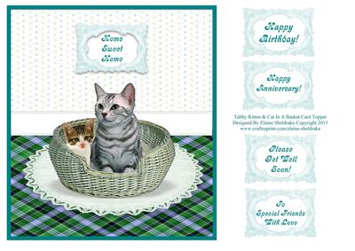 Tabby Kitten & Cat in a Basket Topper Card + Greetings