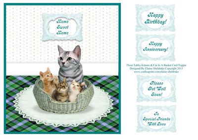 3 x Tabby Kittens & Cat in a Basket Card Topper + Greetings