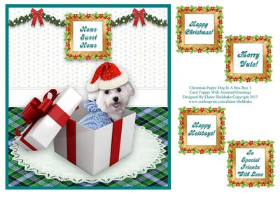 Christmas Boy Puppy Dog in a Box with Assorted Greetings