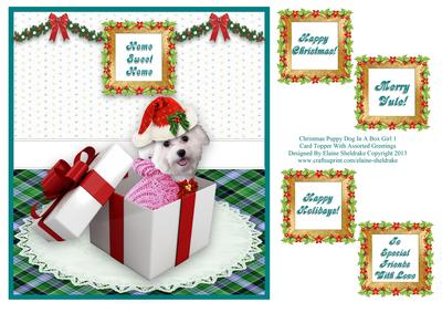 Christmas Girl Puppy Dog in a Box with Assorted Greetings