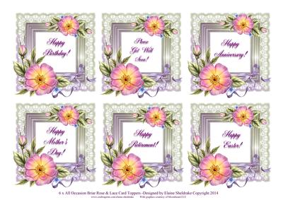 6 x All Occasion Briar Rose & Lace Greetings Toppers