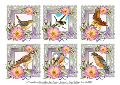 6 x Vintage Birds Roses & Lace Greetings Toppers