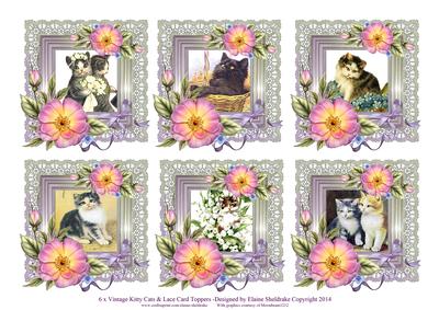 6 x Vintage Kitten Cats Roses & Lace Greetings Toppers