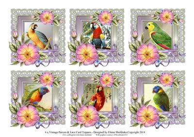 6 x Vintage Parrot Birds Roses & Lace Greetings Toppers