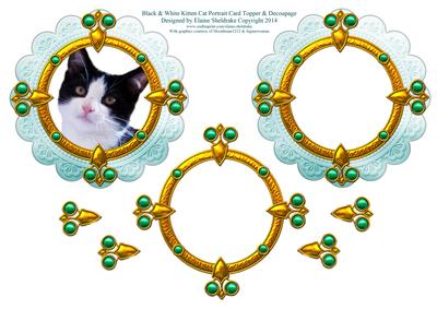 Black & White Kitten Cat Portrait Card Topper & Decoupage
