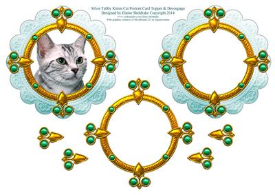 Silver Tabby Kitten Cat Portrait Card Topper & Decoupage