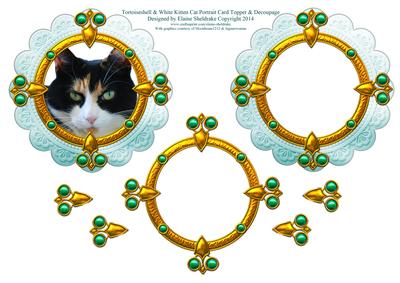 Tortoiseshell Kitten Cat Portrait Card Topper & Decoupage