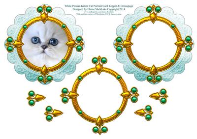 White Persian Kitten Cat Portrait Card Topper & Decoupage