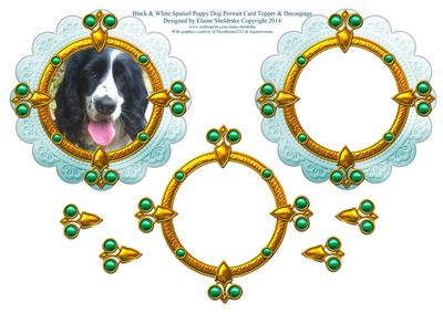 Black & White Spaniel Dog Portrait Card Topper & Decoupage