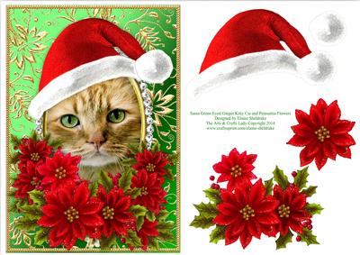 Santa Ginger Kitten Cat & Decoupage Poinsettias Card Topper