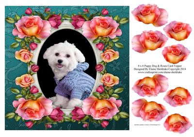 8 x 8 Bichon Frise Dog & Roses Card Topper & Decoupage