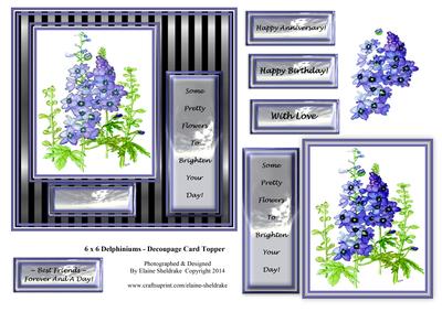 6 x 6 Delphinium Flowers - Decoupage Card Topper