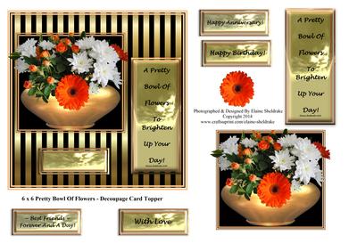 6 x 6 Pretty Bowl of Flowers - Decoupage Card Topper