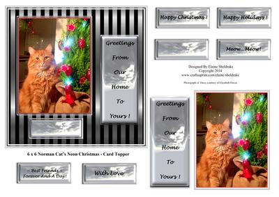6 x 6 Norman Cats Neon Christmas - Card Topper