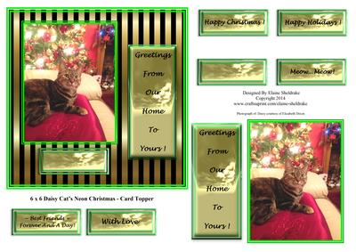6 x 6 Daisy Cats Neon Christmas - Card Topper