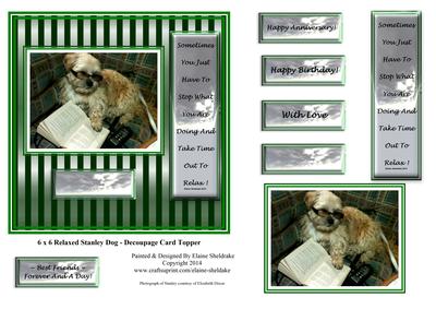 6 x 6 Relaxed Stanley Dog - Decoupage Card Topper