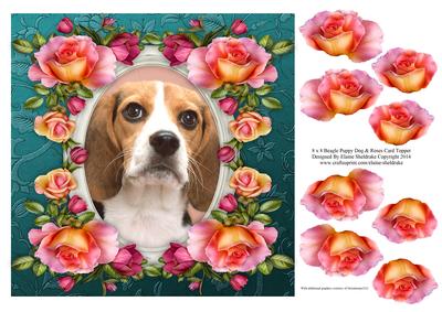 8 x 8 Beagle Dog & Roses Card Topper & Decoupage