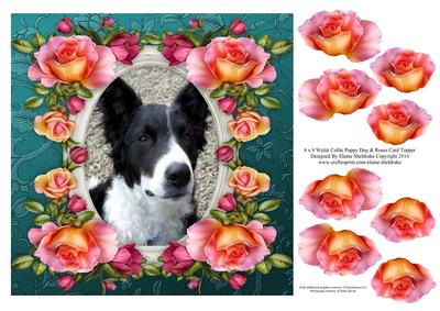 8 x 8 Welsh Collie Dog & Roses Card Topper & Decoupage