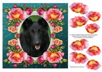 8 x 8 Belgium Shepherd Dog & Roses Card Topper & Decoupage