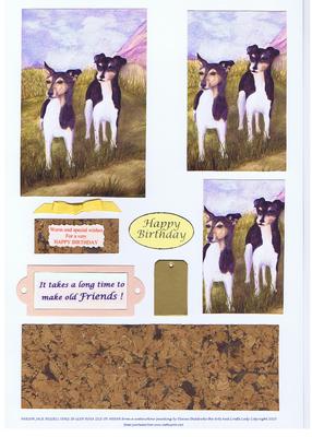Parson Jack Russell Dogs in Glen Rosa, Arran Scotland