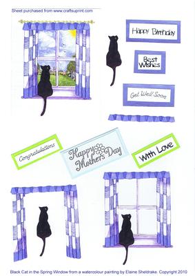 Black Cat in the Summer Window