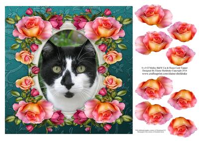 8 x 8 O'malley B&w Cat & Roses Card Topper & Decoupage