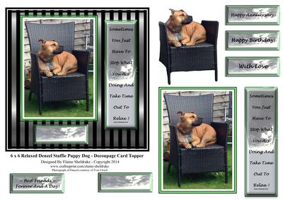 6 x 6 Relaxed Denzel Staffie Dog & Decoupagetopper
