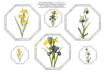 Six Iris Floral Toppers -three x 4" x 4" & Three x 2" x 2"