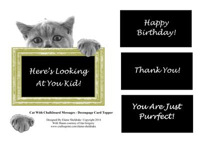 Cat with Chalkboard Messages - Shaped Topper Fits 6" x 6"