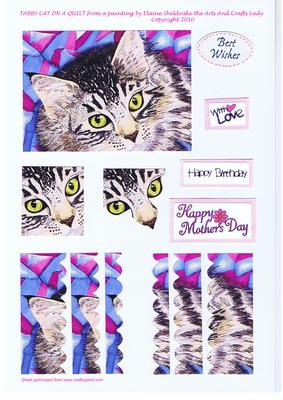 Tabby Cat on a Quilt Birthday, Best Wishes, with Love