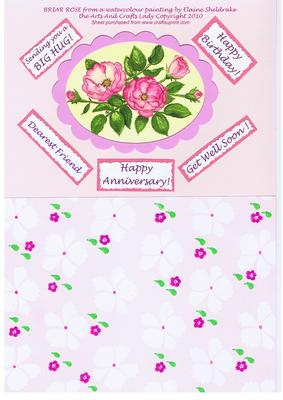 Briar Rose Birthday, Anniversary, Get Well Soon, Friend