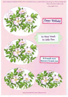 Wild English Briar Roses Birthday Friend General