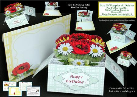 Poppies & Daisies - 3D Pop-up Box Card Kit & Envelope