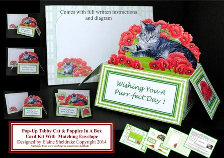 Tabby Cat & Poppies - 3D Pop-up Box Card Kit & Envelope