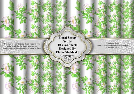 Floral Sheets Set 14 - Wild Roses - 10 x A4 Backing Papers