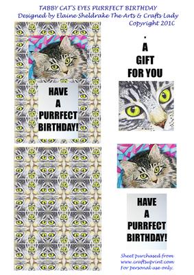 Tabby Cat's Eyes Purrfect Birthday Quick Card & Tag