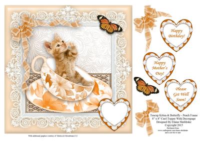 Teacup Kitten & Butterfly in Peach Frame - 8" x 8" Topper