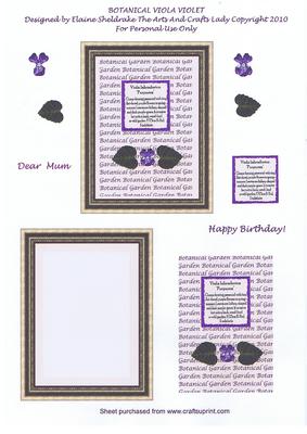 Botanical Viola Violet Happy Birthday Dear Mum